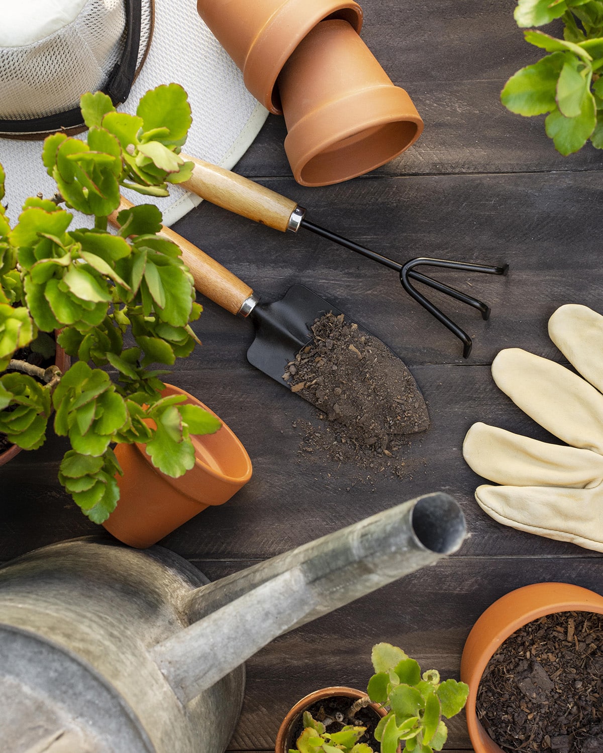 Les bons gestes pour Jardiner au naturel