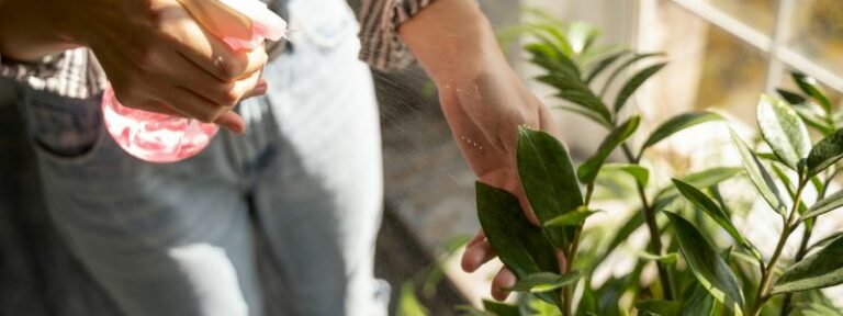 Arroser les plantes pendant les vacances - MAÏA-KO