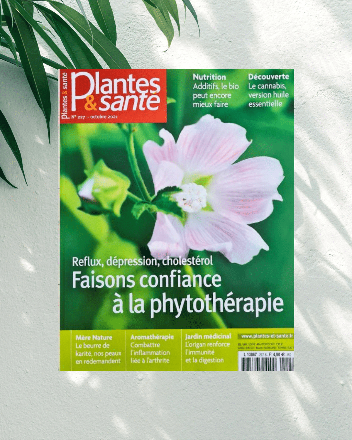 Plantes & Santé