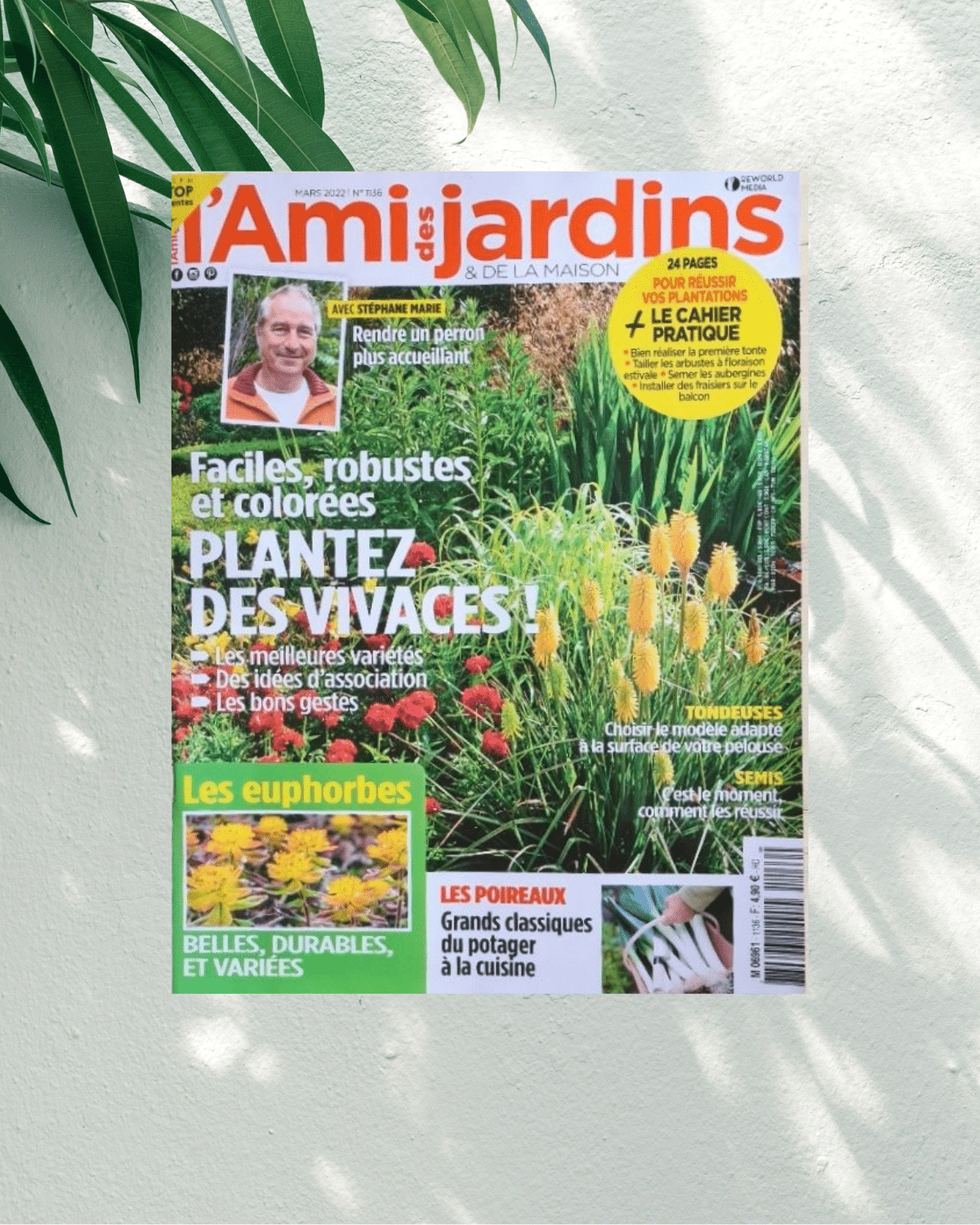 L'Ami des Jardins et de la Maison