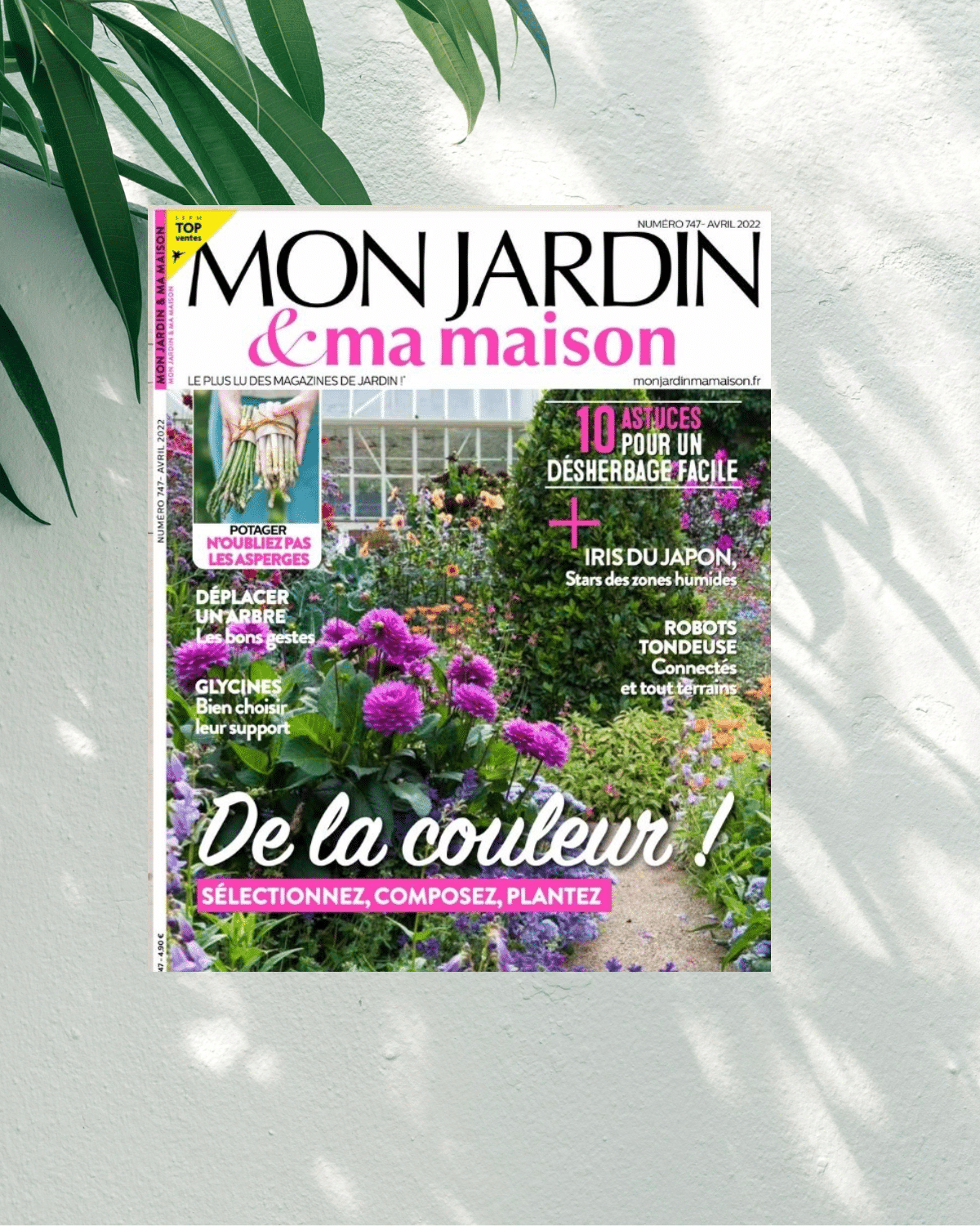 Mon Jardin et Ma Maison