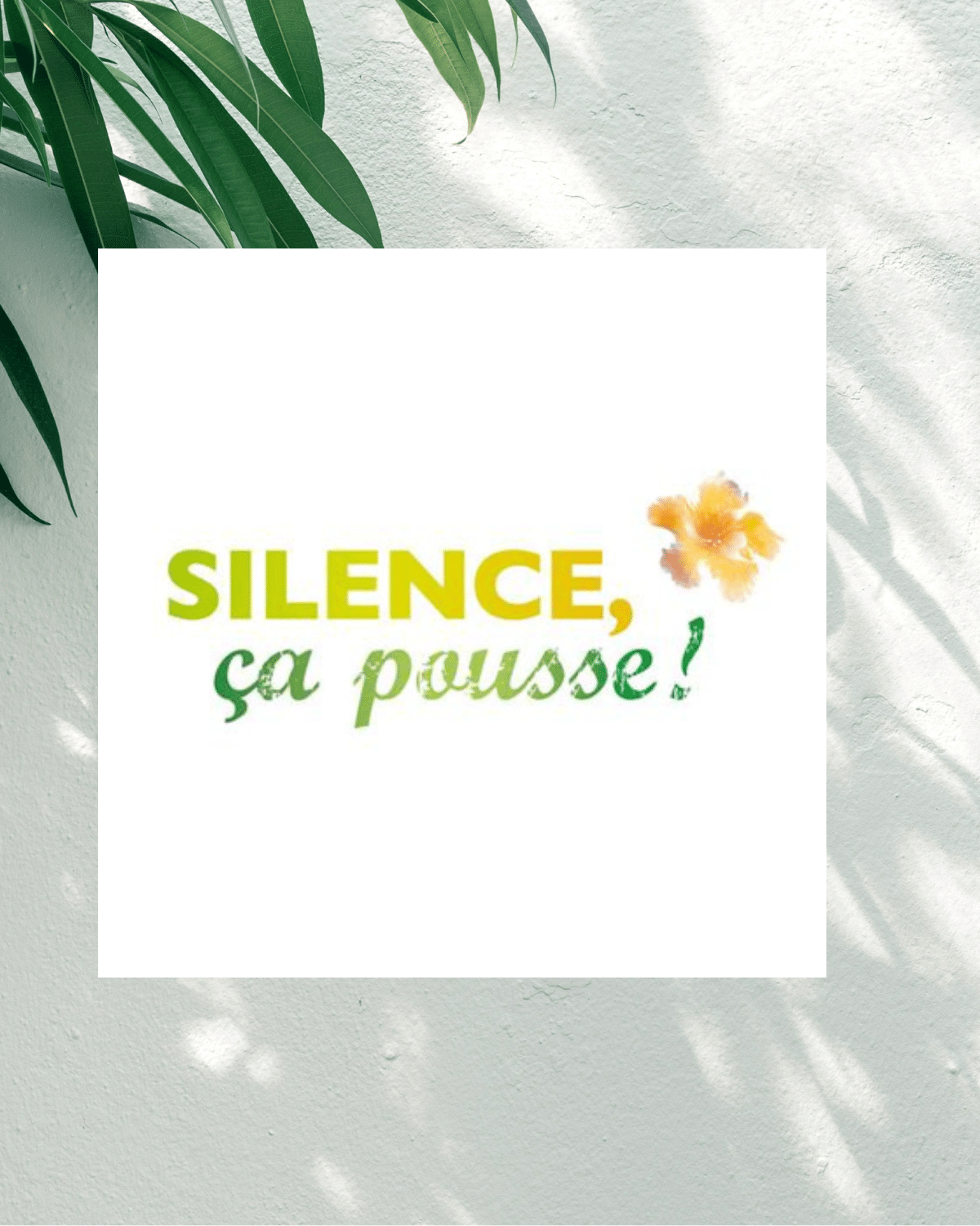 Silence ça pousse