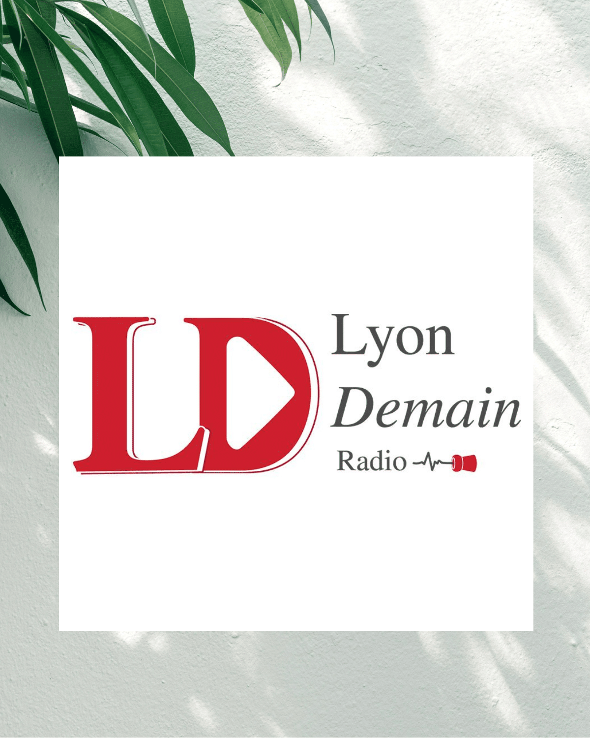 Lyon demain radio