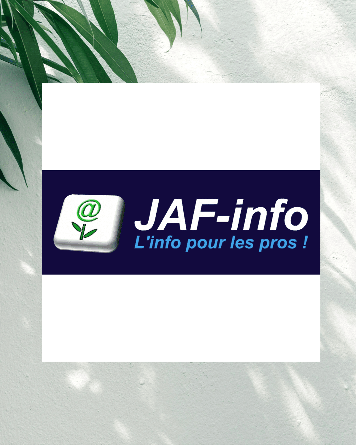 JAF-info