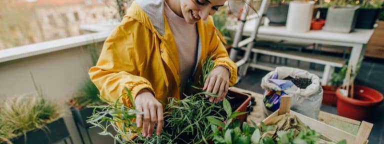 10 bonnes raisons de démarrer un potager de balcon - AÏAKO (4)