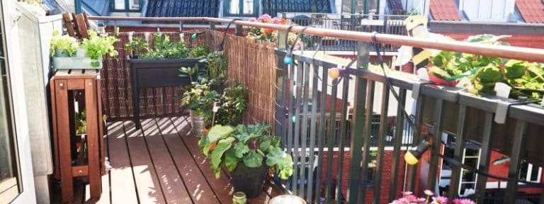 10 bonnes raisons de démarrer un potager de balcon - AÏAKO